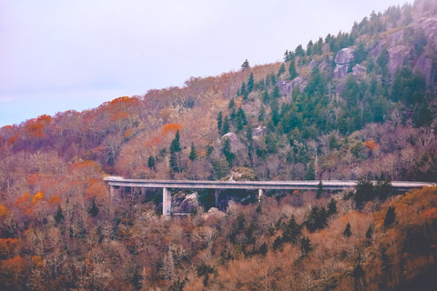 close up view of linn cove viaduct along the blue ridge parkway from rough ridge