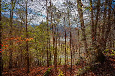 Nathan McClure Bear creek falls trail Daniel Boone National Forest Kentucky 