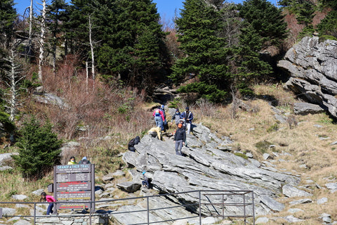 trailhead for grandfather trail to macraes peak on grandfather mountain