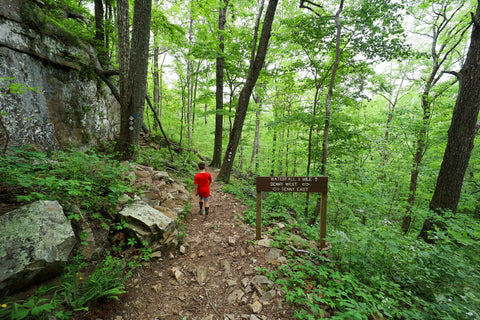 Hiking the Denny cove trail in south Cumberland State Park in Tennessee 