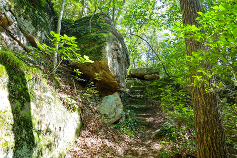 laurel cove trail powderhorn arch pine mountain state park