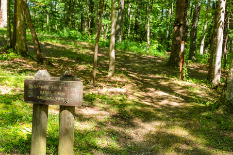 trailhead sign for silvermine arch in red river gorge