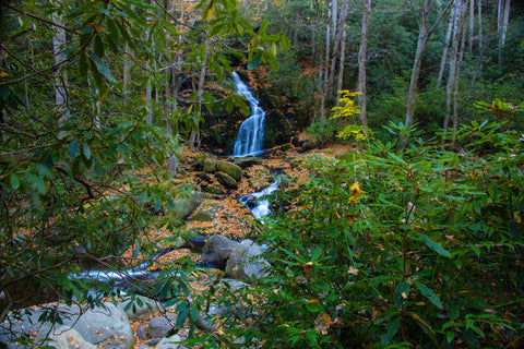 Midnight hole mouse creek falls big creek trail great smoky mountain national park North Carolina waterfalls