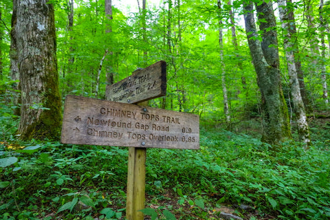 Chimney tops trail in great smoky mountains National park Tennessee 