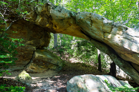 laurel cove trail powderhorn arch pine mountain state park