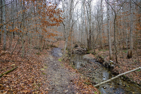 anglin falls trail through state nature preserve in kentucky