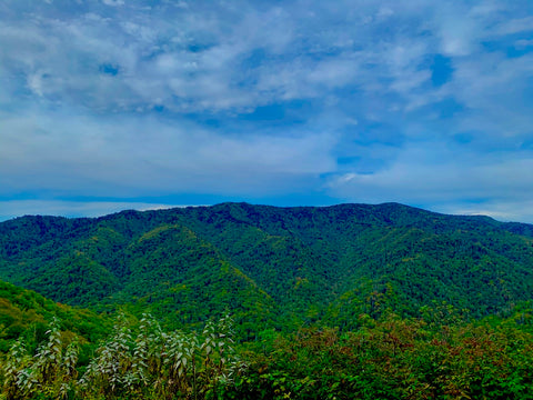 fall in the great smoky mountains