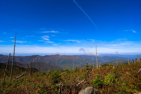 View of The Blue Ridge Mountains and The Big Tom Wilson Preserve From Big Tom along the Deep Gap Trail In Mount Mitchell State Park North Carolina