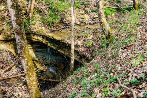 small waterfall crossing along wild hyacinth trail in turkey run park