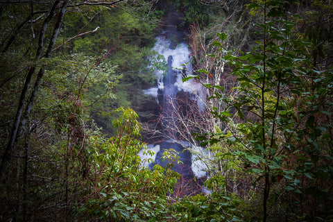 Van hook falls sheltowee Trace trail Daniel Boone National Forest Kentucky waterfall hiking