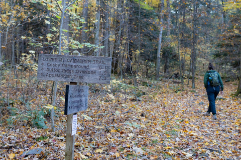 Low gap trail Appalachian trail mount Cammerer lookout tower great smoky mountains National Park Tennessee