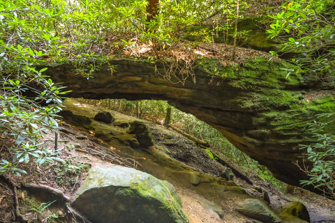 silvermine arch opening in red river gorge