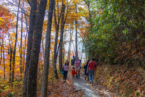 Laurel falls great smoky mountains national park Tennessee hiking trail waterfalls