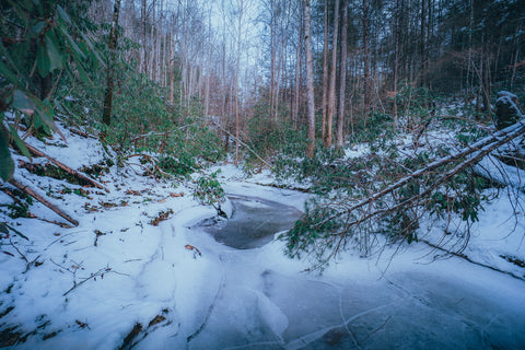 frozen copperas creek trail in red river gorge Kentucky