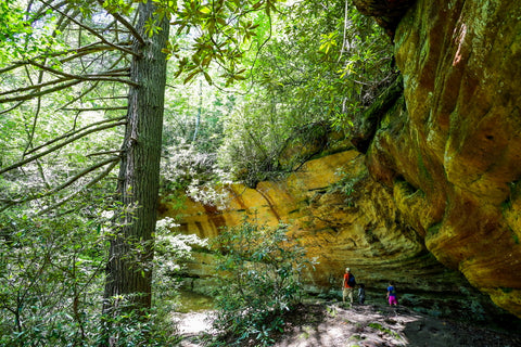 grays arch trail red river gorge