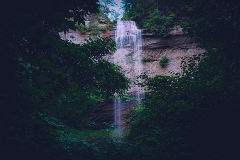 Fall creek falls state park waterfall hiking trail Tennessee base of falls trail 