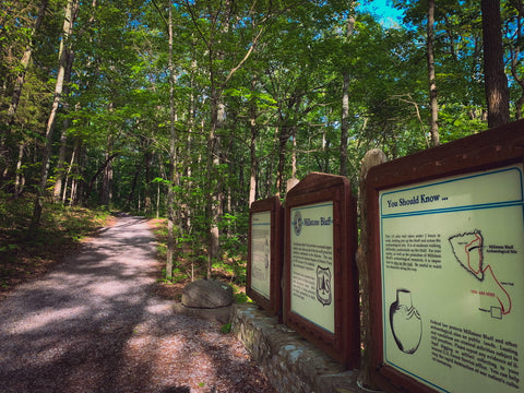 Trailhead for millstone Bluff archeological Site within Shawnee National forest Illinois 