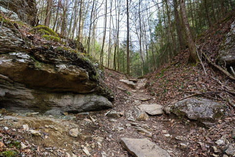 hiking to henson's arch in natural bridge state park kentucky