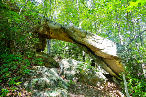 laurel cove trail powderhorn arch pine mountain state park