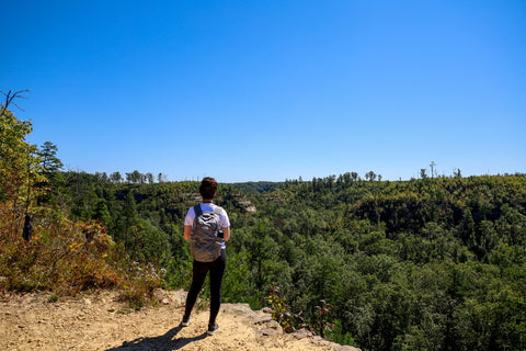 auxier ridge trail