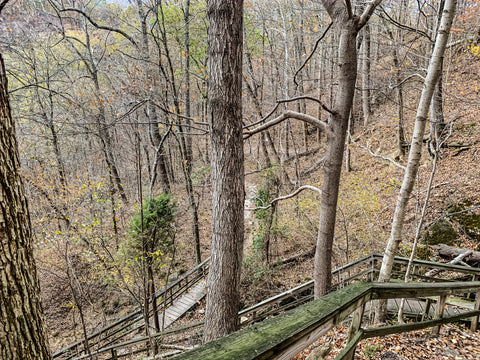 broughs tunnel clifty falls state park 