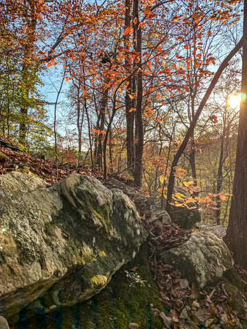 sunset point trail in mammoth cave national park kentucky