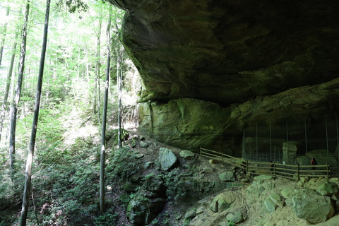 d boon hut trail red river gorge