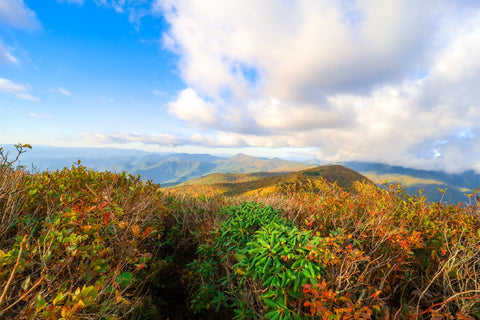 Panoramic views of craggy gardens from craggy dome on blue ridge parkway in North Carolina 