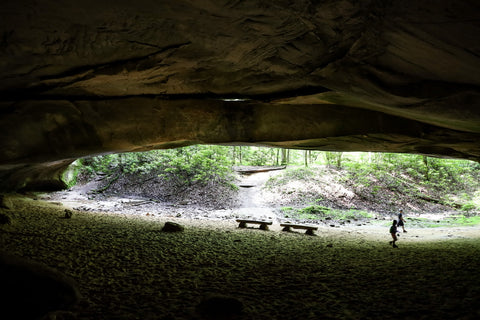 looking out from within Hazard Cave entrance in Pickett CCC State Park