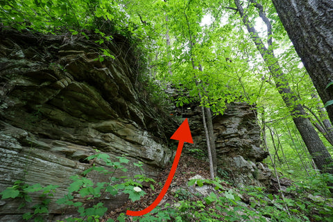 Small arch along waterfall trail in Denny cove within south Cumberland State Park in Tennessee 