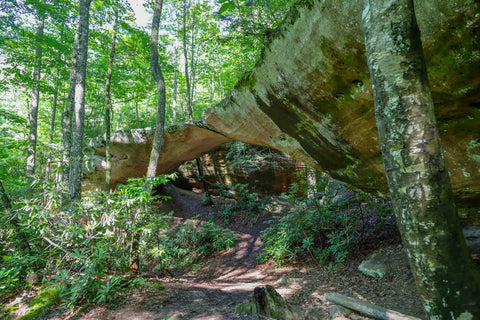 natural bridge arch in pickett ccc state park