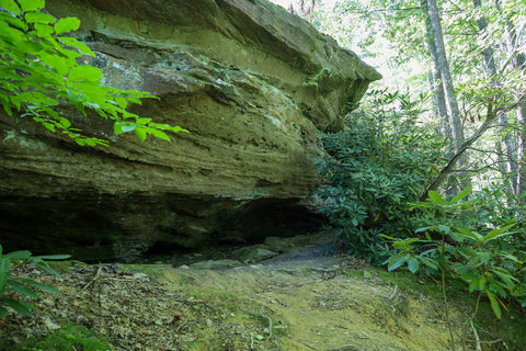 auxier ridge trail