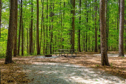 Orange Trail Horine Reservation Jefferson Memorial Forest