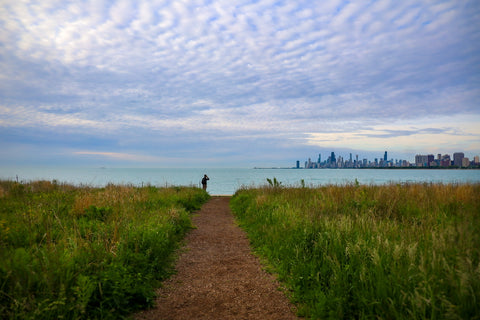 Panoramic views of Chicago’s downtown skyline and Lake Michigan from montrose beach dunes natural area in Chicago Illinois