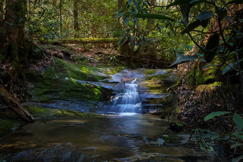 Chimney top falls red river gorge Daniel Boone National Forest Kentucky hiking trail