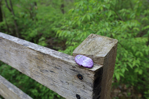 painted rock on bridge along paw paw trail in turkey run park