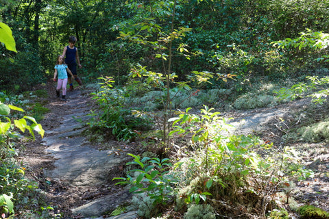 rock hotel pine mountain state park