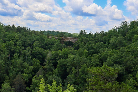 View of natural bridge arch from lookout point in natural bridge state resort park kentucky