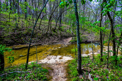 creek crossing along paw paw trail in turkey run park