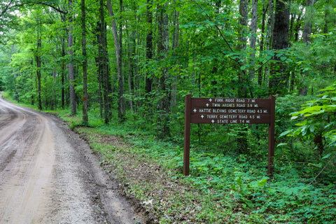 twin arches trail big south fork