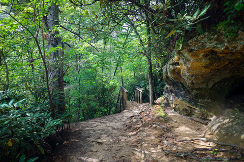 Grays arch rough trail rush ridge Hansons point pinch’em tight hiking trail red river gorge Daniel Boone National Forest Kentucky 