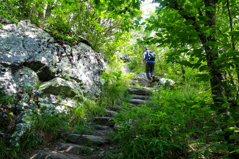 hiker climbing up stone steps to big pinnacle along the twin pinnacles trail in grayson highlands state park in virginia