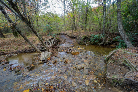 Graveyard fields loop to waterfalls of Yellowstone prong along blue ridge parkway in North Carolina 