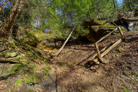 Hiking along trail 9 in Turkey Run State Park Indiana 