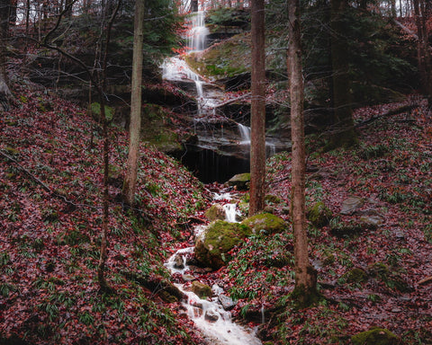 waterfalls of Hemlock Cliffs in Hoosier National Forest Indiana 