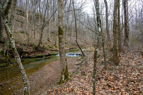 Small waterfall along trail to bowl falls in yellow birch ravine nature preserve Indiana 