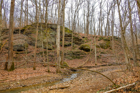 Wild caves surrounding hillside in yellow birch ravine nature preserve Indiana 