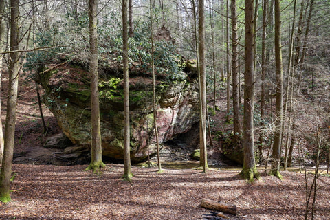 small tunnel near camping area along hiking trail to whittleton arch in red river gorge kentucky