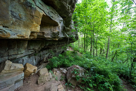 Hiking trail along bluffs in Sewanee Natural Bridge State Natural Area in Tennessee 