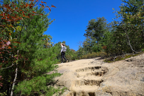 auxier ridge trail